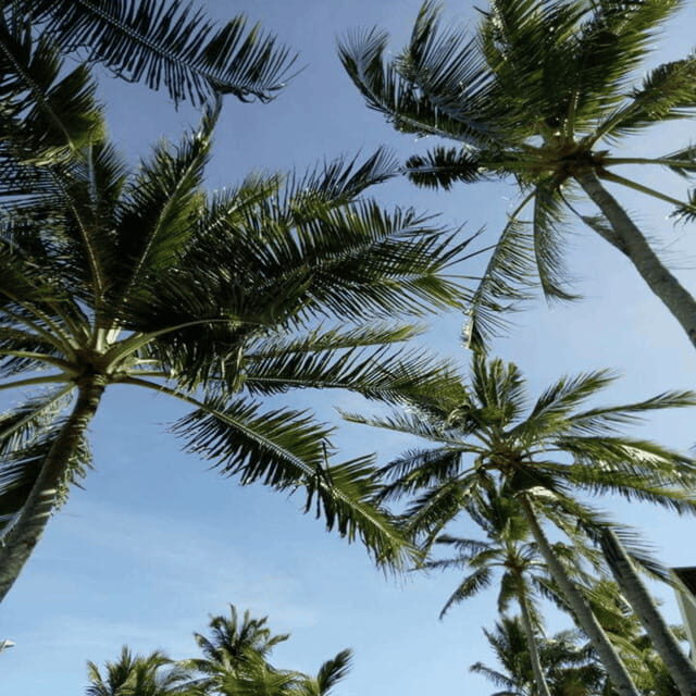 Bantayan Island Uncovered: Land Tour Adventure - Who Is This Tour Best Suited For?