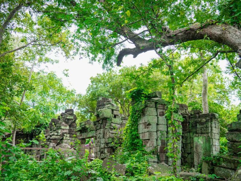 Banteay Chhmar: Journey to Khmer Fortress in the Jungle - Good To Know
