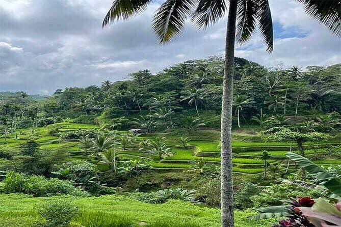 Banyumala Waterfall, Jatiluwih, Ulun Danu and Tanah Lot tours - An Overview of the Tour Experience