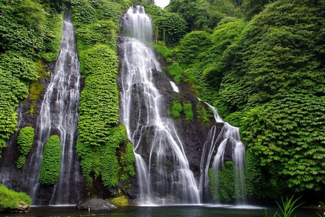 Banyumala Waterfall Tour - Tour Inclusions
