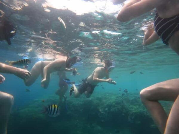 Banyuwangi: 1 Day Tour Snorkeling & Explore Menjangan Island - Recommendations for Participants