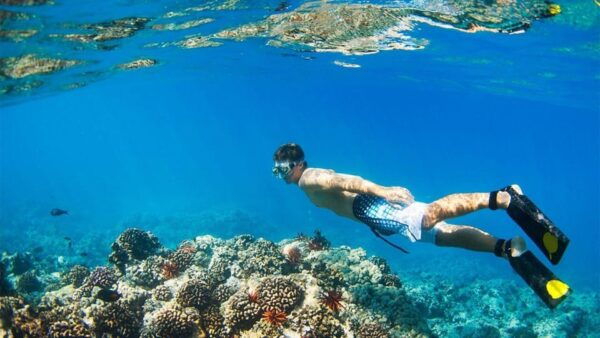 Banyuwangi: 1 Day Tour Snorkeling & Explore Menjangan Island - Booking Details and Policies