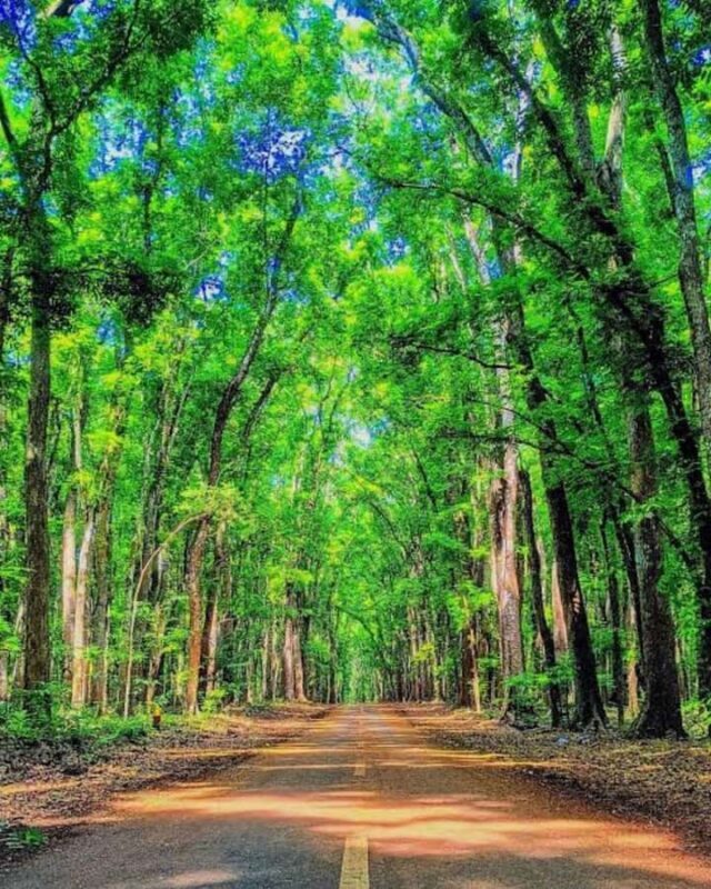 Banyuwangi: 2-Day Adventure with Baluran National Park - The Practical Details: What To Expect