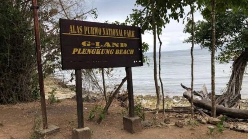 Banyuwangi: 2-Day Adventure with Baluran National Park - Why This Tour Works for You