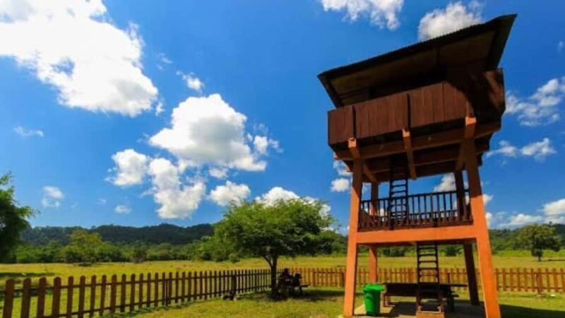 Banyuwangi: 2-Day Adventure with Baluran National Park - The Sum Up