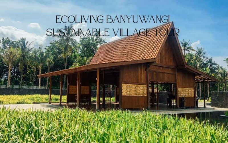 Banyuwangi: 2-Day Sustainable Eco Village Tour - Discovering Banyuwangi’s Eco Villages: What It’s All About