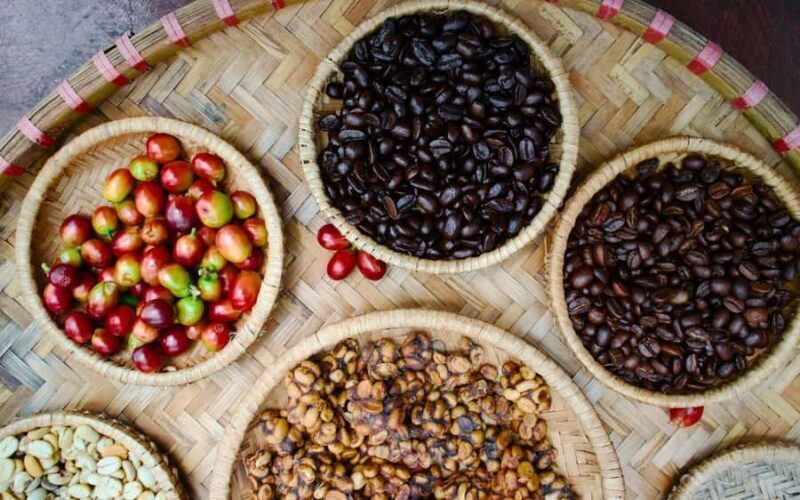 Banyuwangi: 2-Day Sustainable Eco Village Tour - The Sum Up