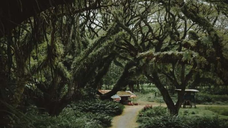 Banyuwangi: 4-Day Photography Tour with Adventure & Culture - Who is This Tour Best For?