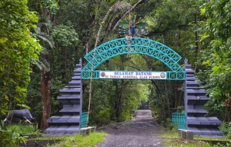 Banyuwangi: Alas Purwo National Park & G-Land Beach Tour - Good To Know