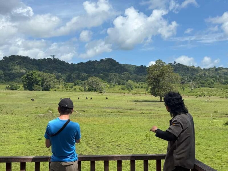 Banyuwangi: Alas Purwo National Park & G-Land Beach Tour - Final Thoughts: Who Should Consider This Tour?