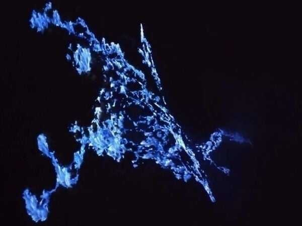 Banyuwangi/Bali: Mount Ijen Midnight Blue Fire Guided Tour - What to Expect on the Hike