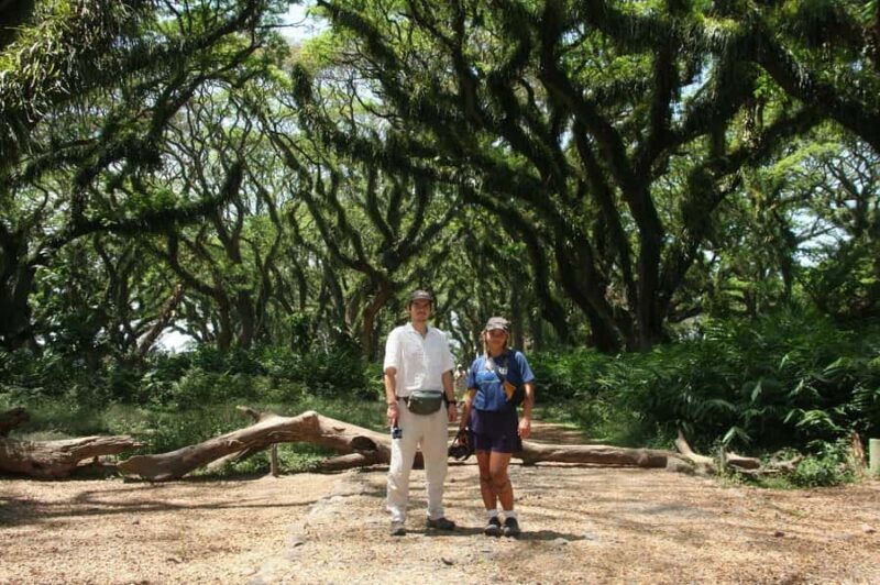 Banyuwangi: Djawatan Forest & Baluran National Park Tour - Good To Know