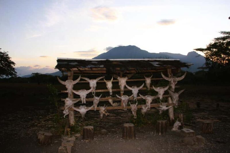 Banyuwangi: Djawatan Forest & Baluran National Park Tour - Final Thoughts