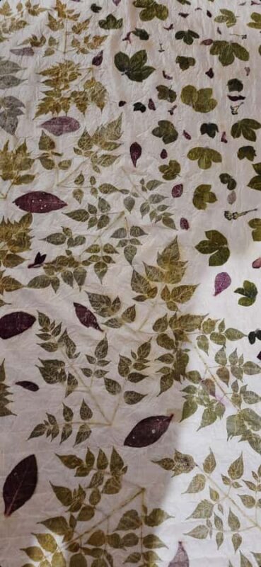 Banyuwangi: Eco Print Workshop with Local Artisan - Practical Details and Tips