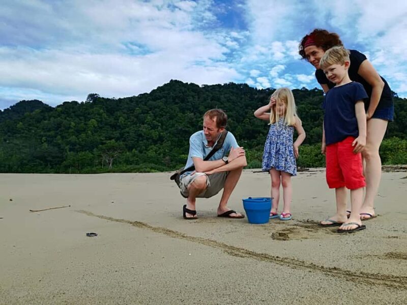 Banyuwangi hidden gem: Sukamade Beach Turtle Release Tour - Good To Know