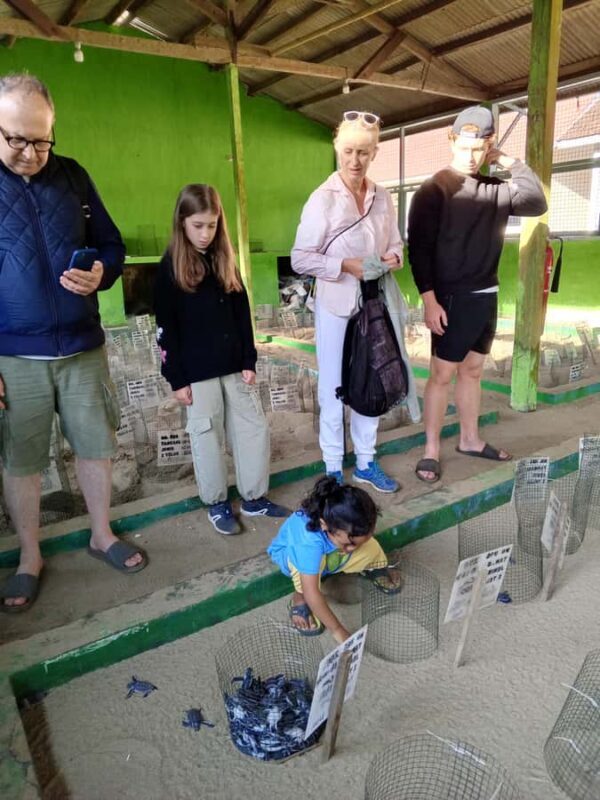 Banyuwangi hidden gem: Sukamade Beach Turtle Release Tour - Exploring the Itinerary in Detail