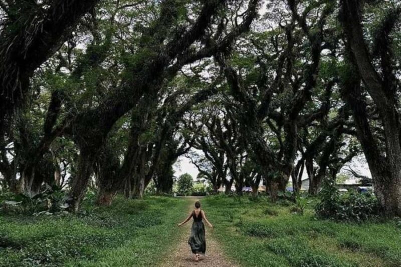 Banyuwangi: Island Hopping, Sunset, & Dragon Fruit Tour - Who Would Love This Tour?