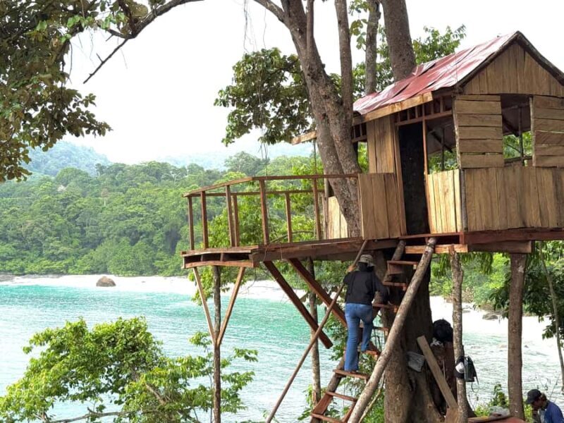 Banyuwangi: Jawatan Forest, Island Hopping, & Sunset Tour - Exploring Jawatan Forest: The Lord of the Rings Vibe