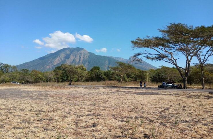 Banyuwangi: Private Car Charter With Professional Driver - Service Inclusions