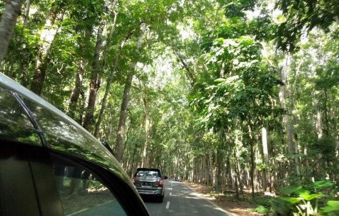 Banyuwangi: Private Car Charter With Professional Driver - Experience Highlights