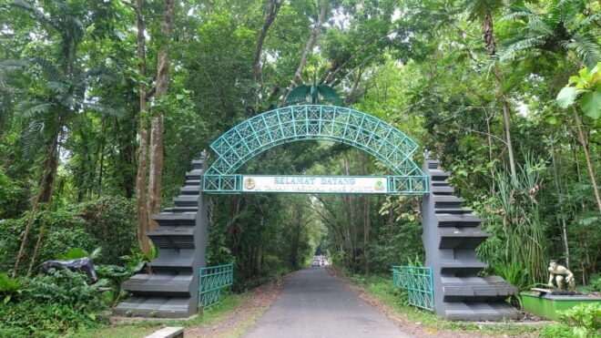 Banyuwangi: Private Car Transfer With Driver - Inclusions