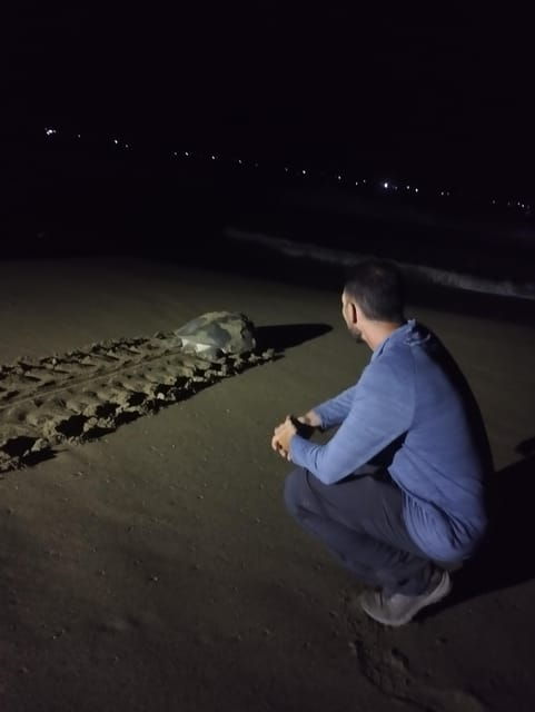 Banyuwangi: Sukamade Beach Turtle Conservation 2-Day Tour - Itinerary and Daily Activities