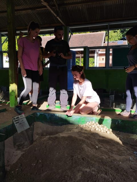 Banyuwangi: Sukamade Beach Turtle Conservation 2-Day Tour - What to Bring