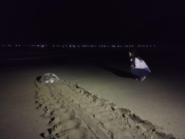Banyuwangi: Sukamade Beach Turtle Conservation 2-Day Tour - Customer Reviews and Ratings