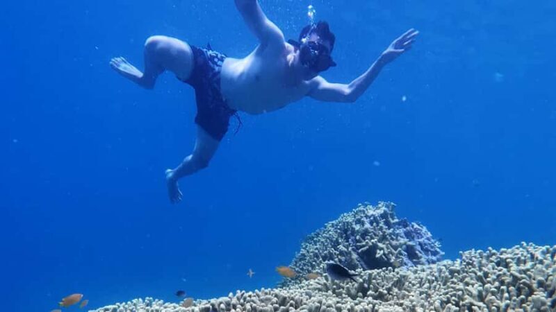 Banyuwangi: Tabuhan & Menjangan Island Snorkeling Tour - The Itinerary in Detail