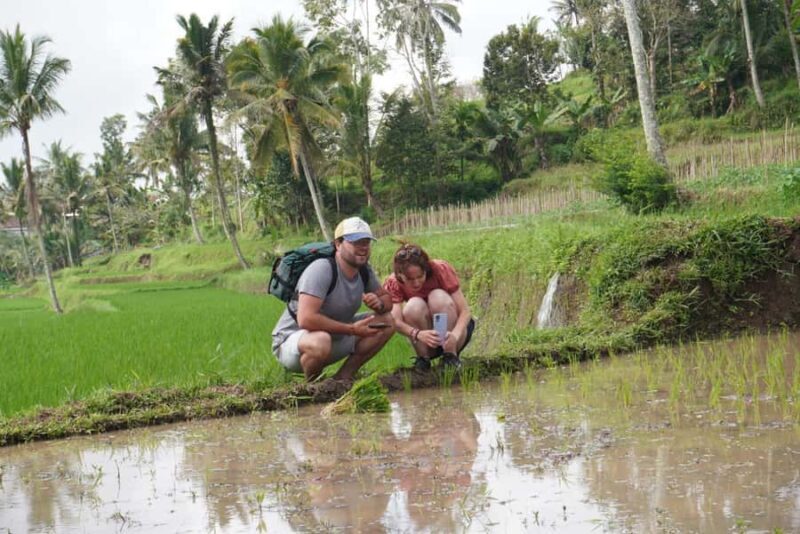 Banyuwangi: Village Walking Tour with Lunch & Coffee - A Closer Look at the Tour Experience