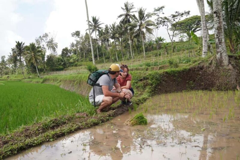 Banyuwangi: Village Walking Tour with Lunch & Coffee - Final Thoughts