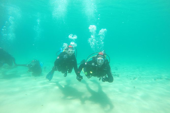 Baptism of Diving in the Natural Park of the Strait - Dive Into the Natural Park