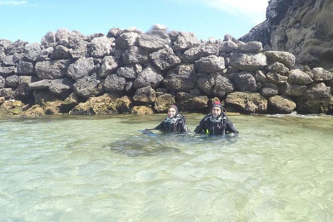 Baptism of Diving in the Natural Park of the Strait - Discover the Underwater Wonders