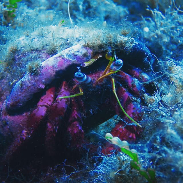 Baptism of the Sea - Safety Considerations