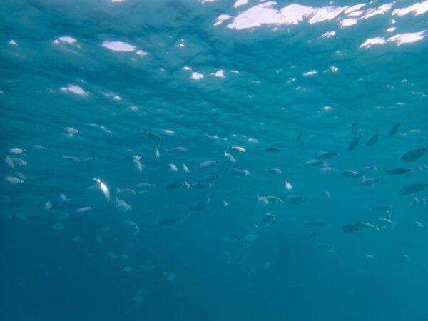 Baptism of the Sea - Exploring La Maddalena Archipelago