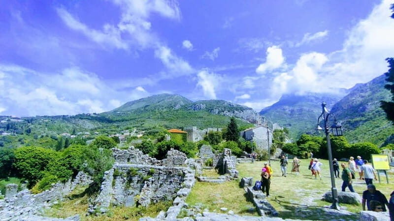 Bar: City Tour with Museum and Old Olive Tree Visit - An In-Depth Look at the Tour