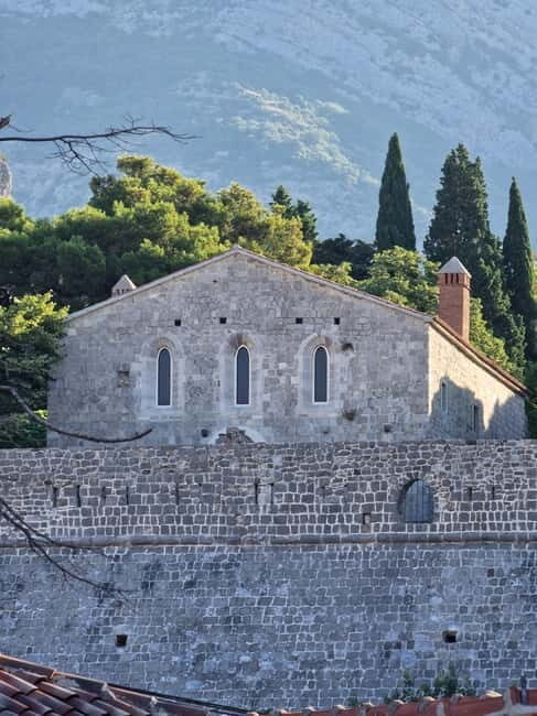 Bar: City Tour with Museum and Old Olive Tree Visit - The Sum Up: Why Choose This Tour?