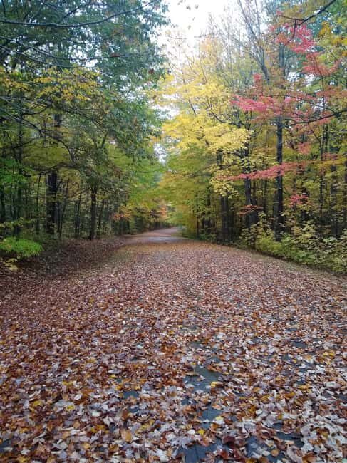 Bar Harbor: Acadia National Park Autumn Leaf Private Tour - Introduction: An Insider Look at the Acadia Autumn Leaf Tour