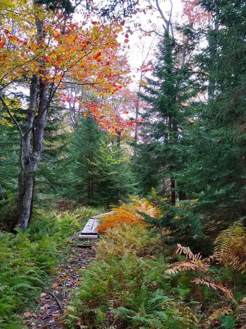 Bar Harbor: Acadia National Park Autumn Leaf Private Tour - Detailed Breakdown of the Itinerary