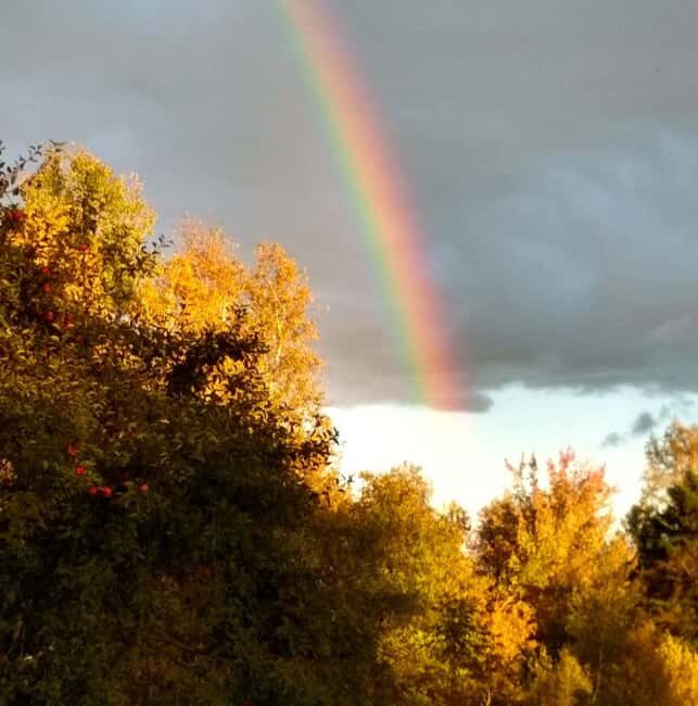 Bar Harbor: Acadia National Park Autumn Leaf Private Tour - FAQ