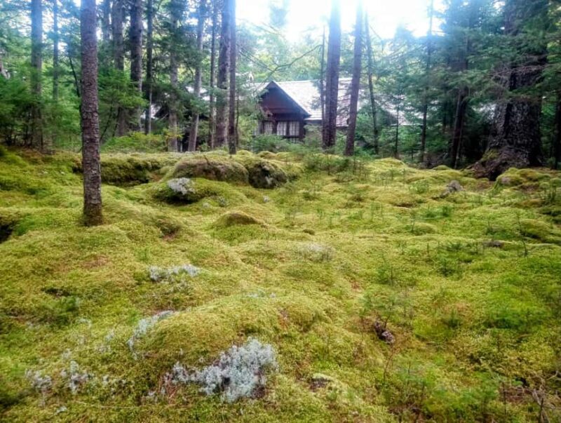 Bar Harbor: Acadia National Park Autumn Leaf Private Tour - Final Thoughts