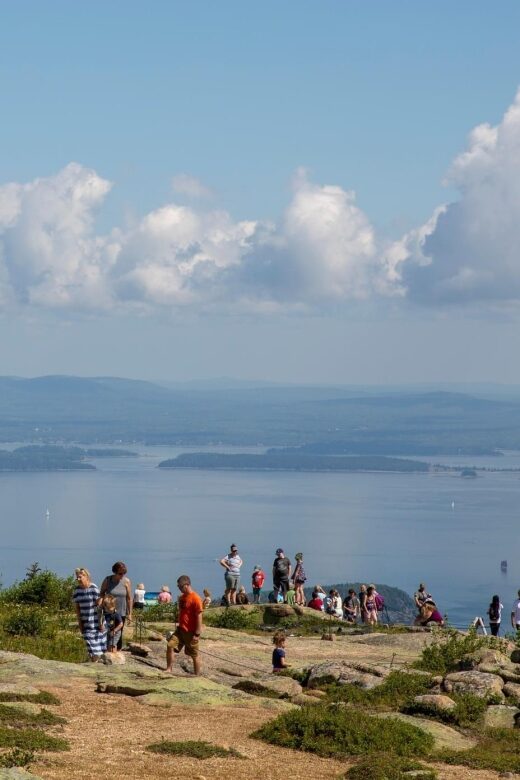 Bar Harbor: Acadia National Park Customizable Private Tour - Discovering Acadia: An In-Depth Look at the Tour