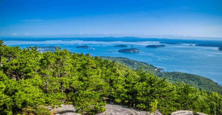 Bar Harbor: Acadias Natural Wonders Driving Tour - Tour Overview and Pricing