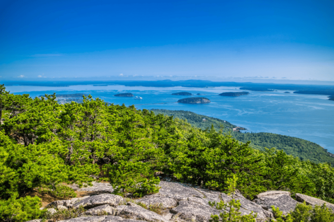 Bar Harbor: Acadias Natural Wonders Driving Tour - Support and Customer Experience