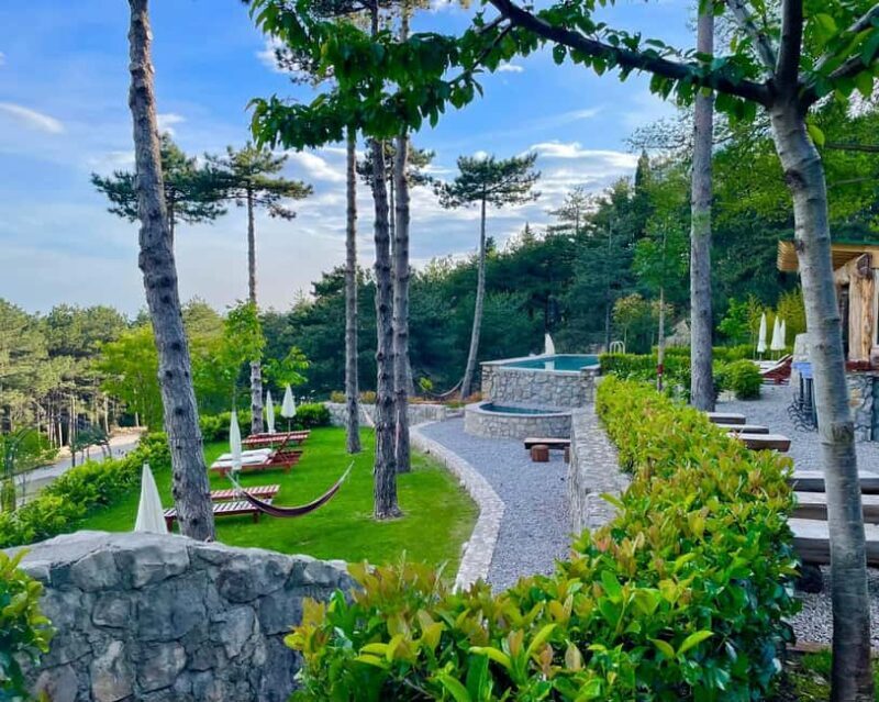 Bar, Montenegro: Shore Excursion with Skadar Lake Cruise - Good To Know