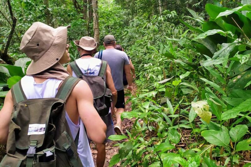 Barahona: La Plaza Waterfall Trek with Lunch & Transfers - An Authentic Adventure in Barahona’s Jungle