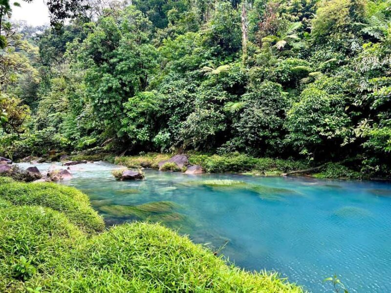 Barahona: La Plaza Waterfall Trek with Lunch & Transfers - Final Thoughts