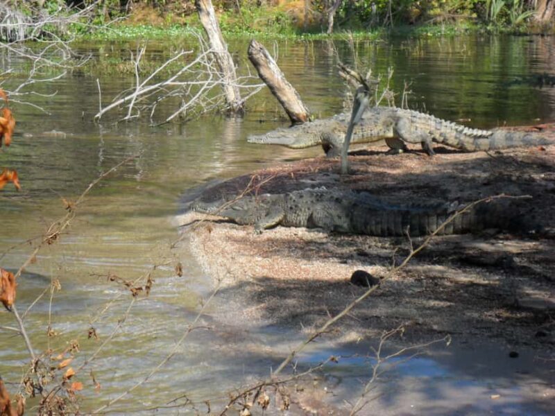 Barahona: Lake Enriquillo Discovery Tour - Who Should Consider This Tour?