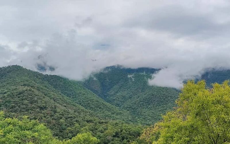 Baralikadu Eco Tourism Day Tour from Coimbatore - Good To Know