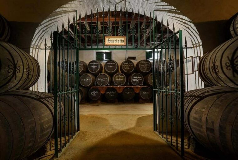 Barbadillo Winery Guided Tour in Cadiz With Wine Tasting - Exploring the Manzanilla Museum